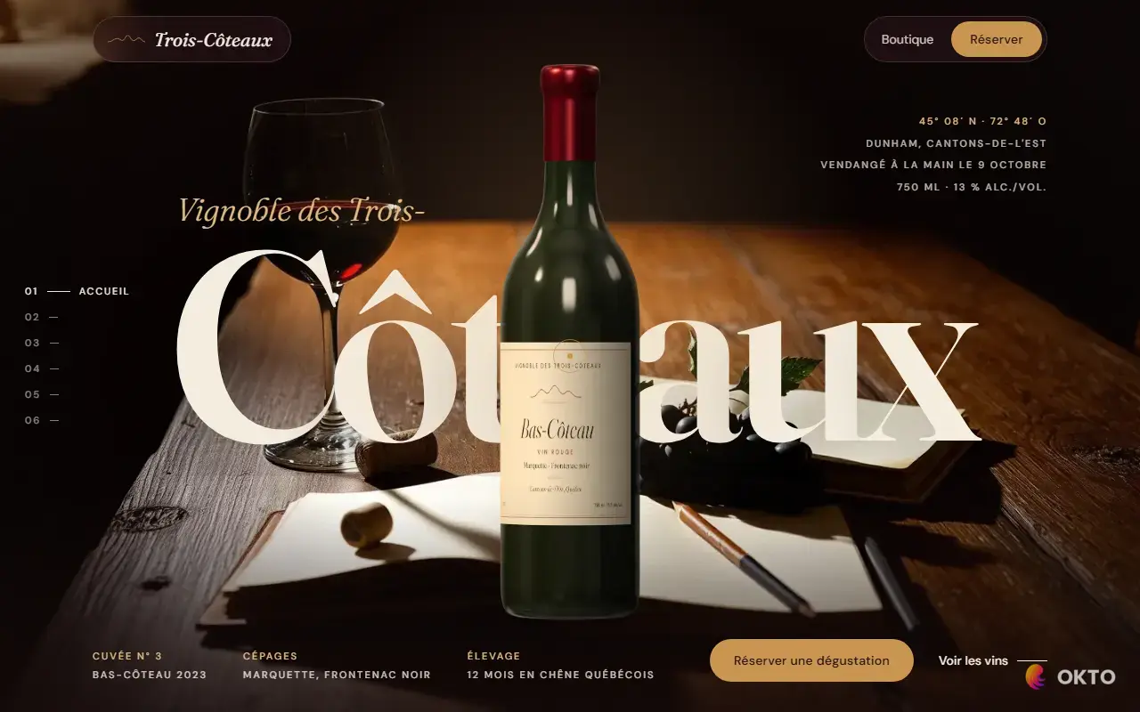 Home page of the Vignoble des Trois-Côteaux demo website, vineyard